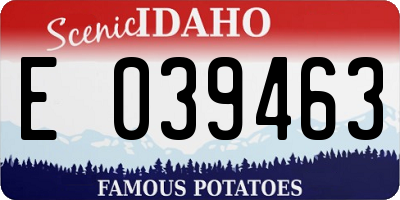 ID license plate E039463