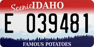 ID license plate E039481