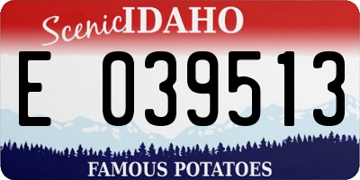 ID license plate E039513