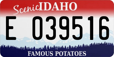 ID license plate E039516