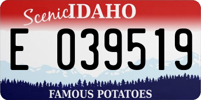 ID license plate E039519