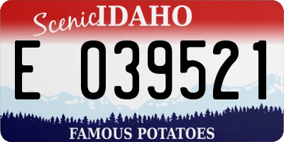 ID license plate E039521