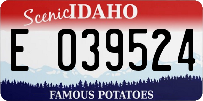 ID license plate E039524
