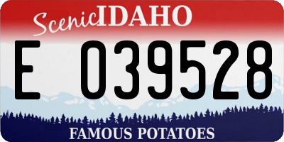 ID license plate E039528