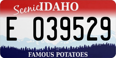ID license plate E039529