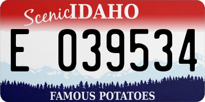 ID license plate E039534