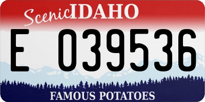 ID license plate E039536