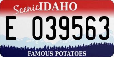 ID license plate E039563