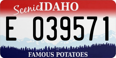 ID license plate E039571