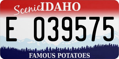 ID license plate E039575