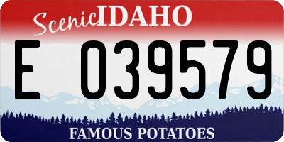 ID license plate E039579
