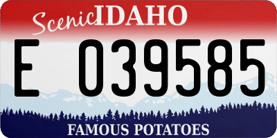 ID license plate E039585
