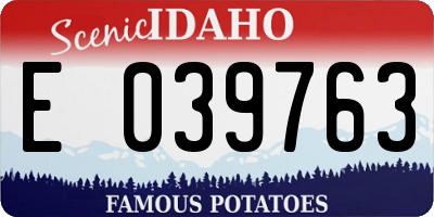 ID license plate E039763
