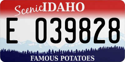 ID license plate E039828