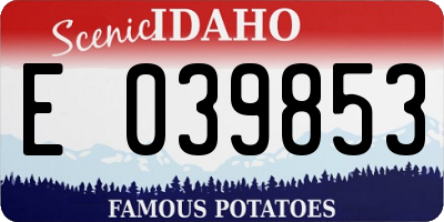 ID license plate E039853