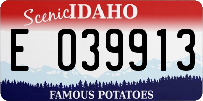ID license plate E039913