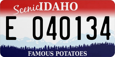 ID license plate E040134