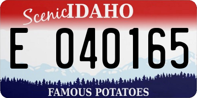 ID license plate E040165