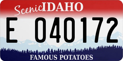 ID license plate E040172