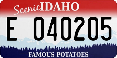 ID license plate E040205