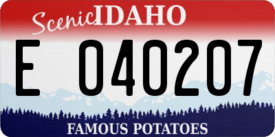 ID license plate E040207