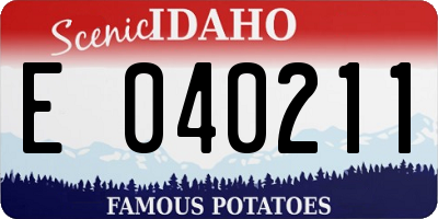 ID license plate E040211
