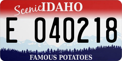 ID license plate E040218