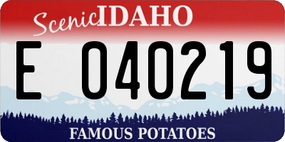 ID license plate E040219