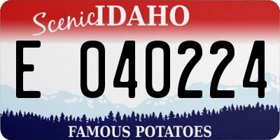 ID license plate E040224