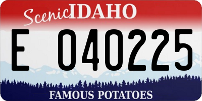 ID license plate E040225
