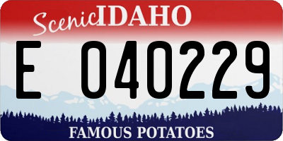 ID license plate E040229