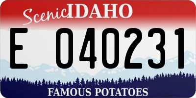 ID license plate E040231