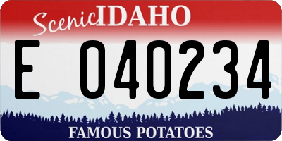 ID license plate E040234