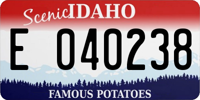 ID license plate E040238