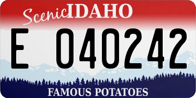 ID license plate E040242