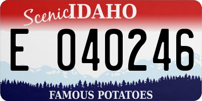 ID license plate E040246
