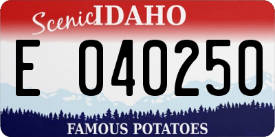 ID license plate E040250