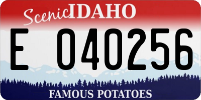 ID license plate E040256