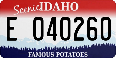 ID license plate E040260