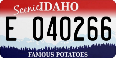 ID license plate E040266