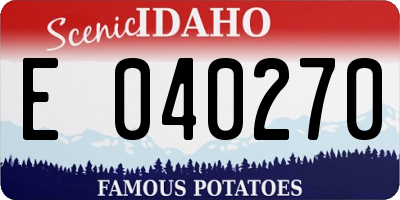 ID license plate E040270
