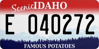 ID license plate E040272