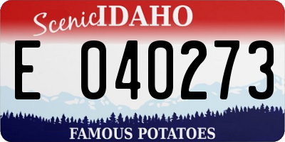 ID license plate E040273