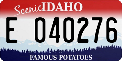 ID license plate E040276