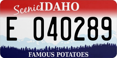 ID license plate E040289