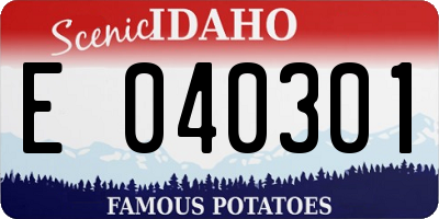 ID license plate E040301