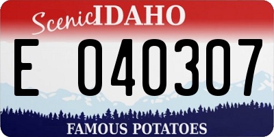 ID license plate E040307