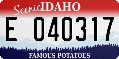 ID license plate E040317