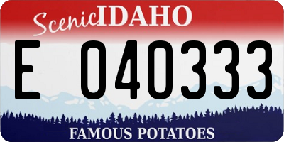ID license plate E040333