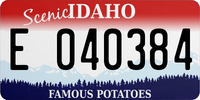 ID license plate E040384